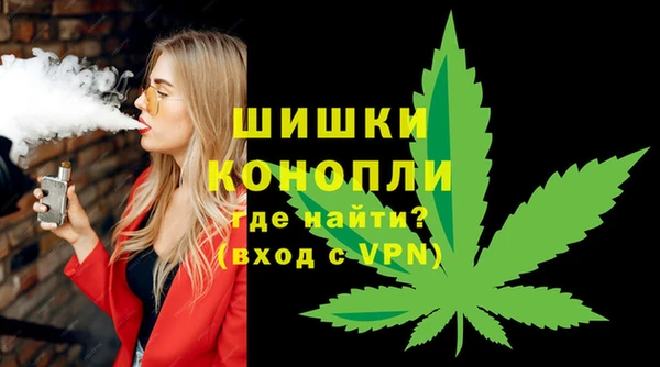 ECSTASY Вяземский