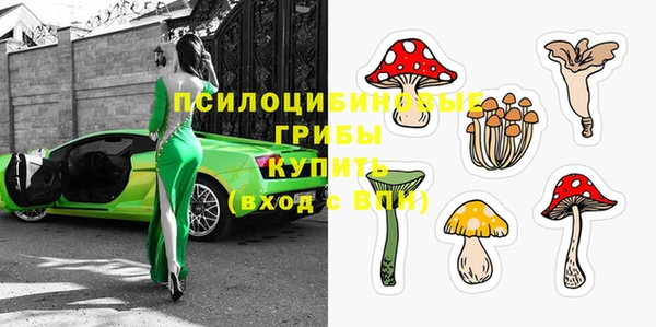 ECSTASY Вяземский