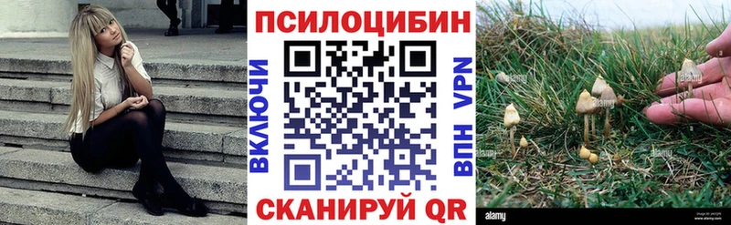 Псилоцибиновые грибы GOLDEN TEACHER  купить  цена  Чусовой 